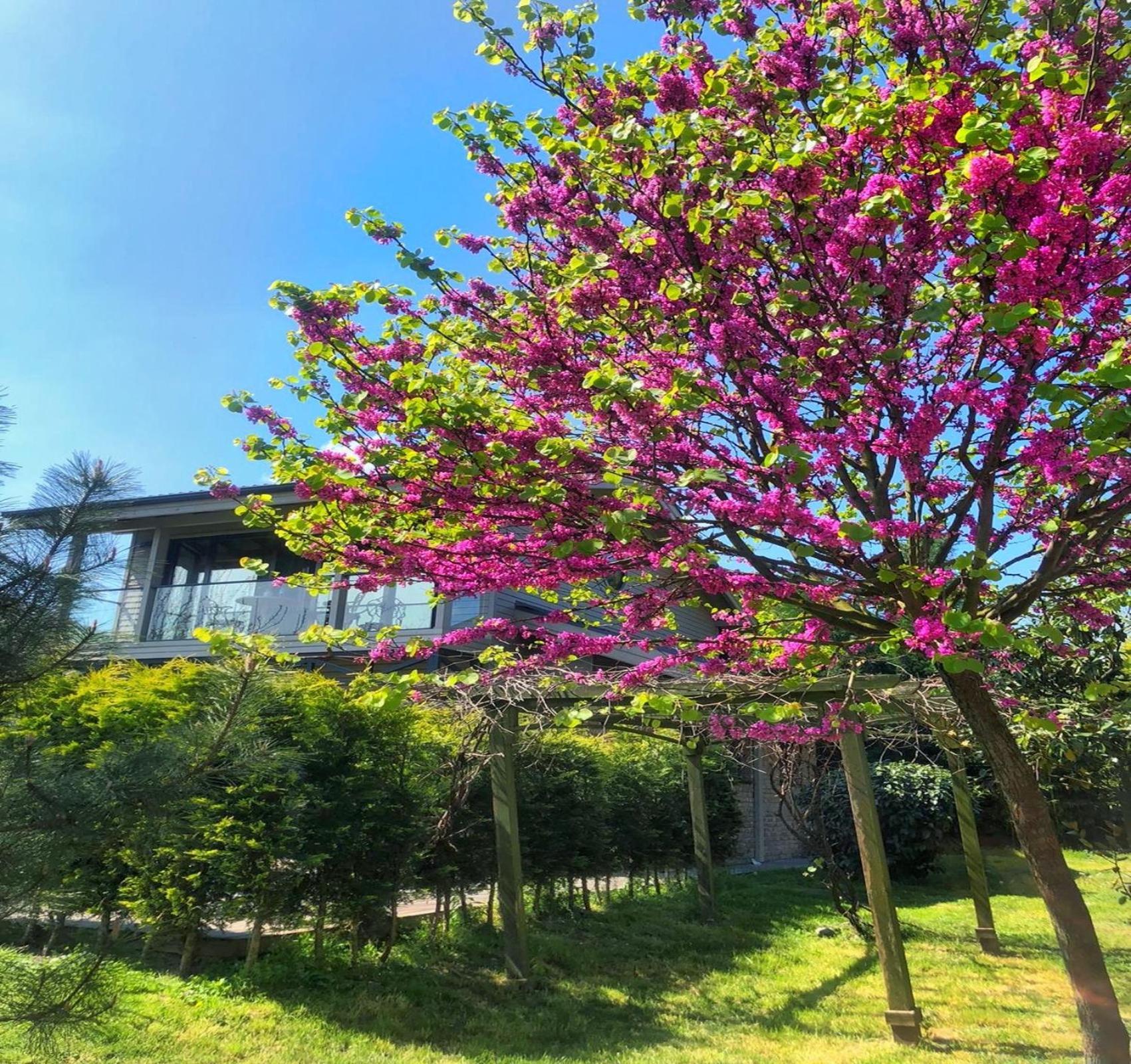 Villa Kirkpinar サパンジャ エクステリア 写真